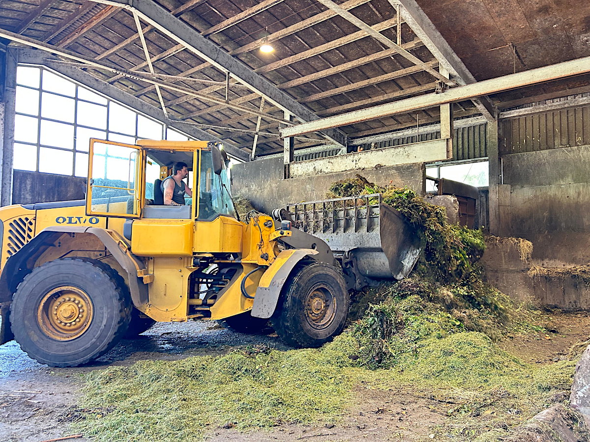 Laswagen auf der Waage